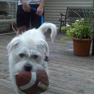 Meet your Posher, Diane